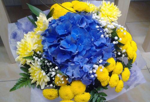 Гортензии: не только красота, но и символы 02 Гортензии: не только красота, но и символы 02