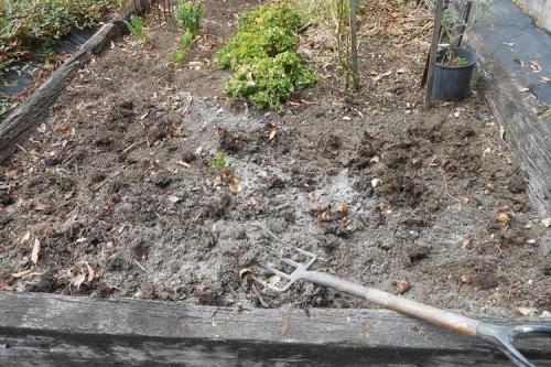 Подкормка роз народными средствами. Народные средства