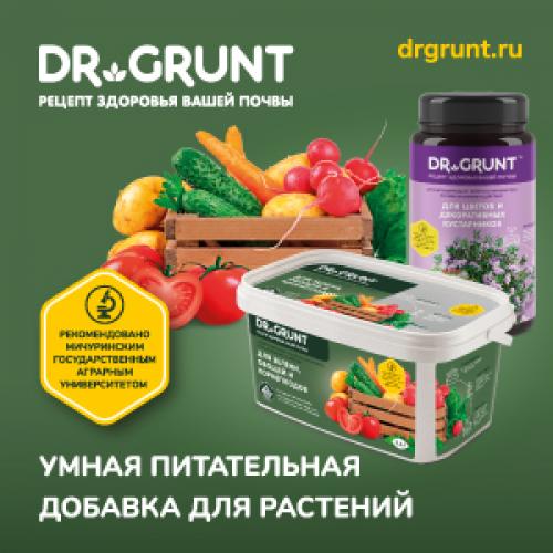 Ранние сладкие сорта яблок. ТОП-15 ранних сортов яблок для вашего сада