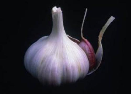 Формула чеснока. Чеснок
