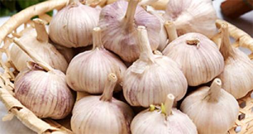 Формула чеснока. Чеснок