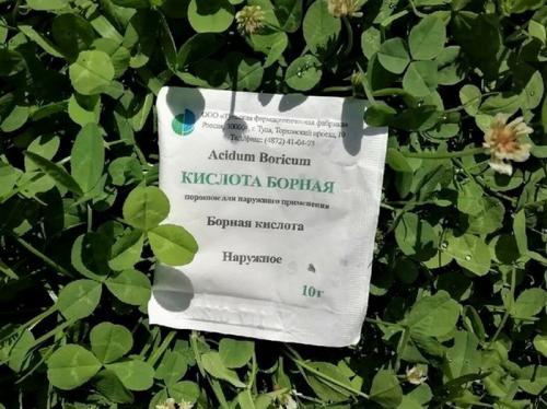 8 способов применения борной кислоты в саду и огороде. Зачем и как использовать борную кислоту для растений