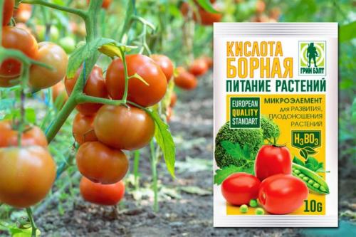 Борная кислота для цветов. Что это такое и как действует?