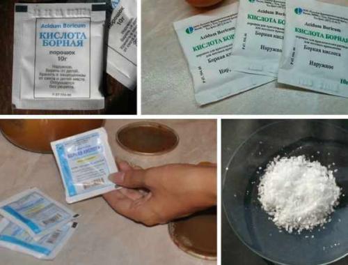 Борная кислота для дачных дел. Борная кислота от муравьев и других насекомых 05