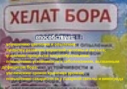 Борная кислота для дачных дел. Борная кислота от муравьев и других насекомых 02