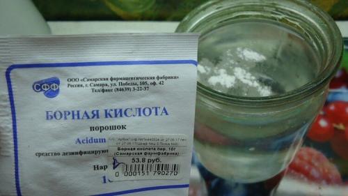 Борная кислота для растений на огороде и в саду — польза и инструкция 01