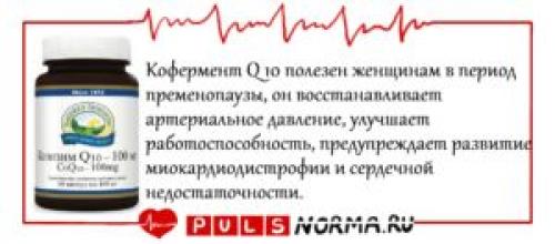 Витамины для сосудов головного мозга и сердца взрослым. Витамины для сердца и сосудов 04 Витамины для сосудов головного мозга и сердца взрослым. Витамины для сердца и сосудов 04