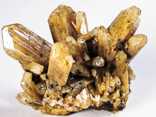 Борная кислота для орхидей, как разводить. Борная кислота. Зачем орхидеям бор?