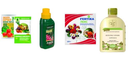 Борная кислота для огурцов. Рецепты приготовления растворов, когда и как использовать 02 Борная кислота для огурцов. Рецепты приготовления растворов, когда и как использовать 02