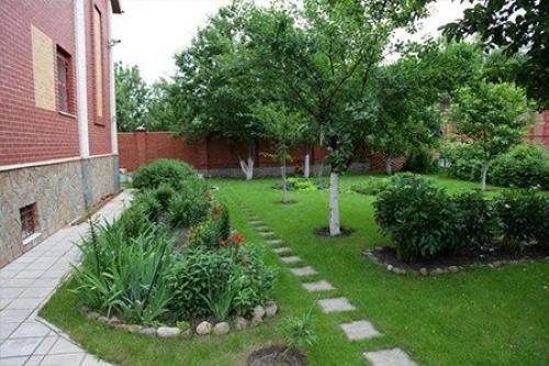 Как разбить фруктовый сад на даче своими силами. Разбиваем плодовый сад 02