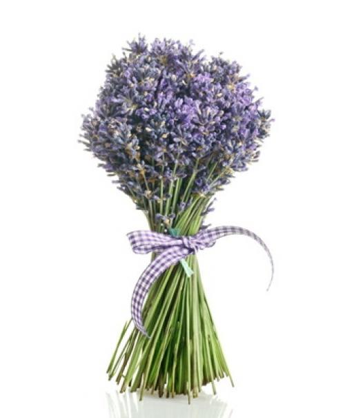 Легенды о цветах: История и символика 05