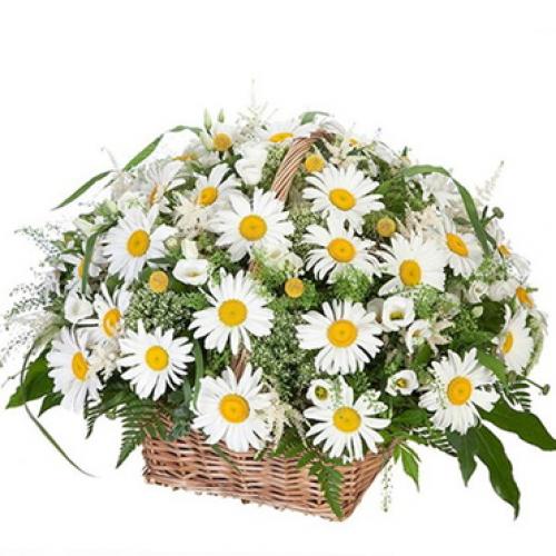 Легенды о цветах: История и символика 06