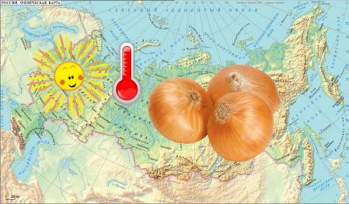 Когда сажать лук-севок на урале 2021. Когда сажать лук-севок весной