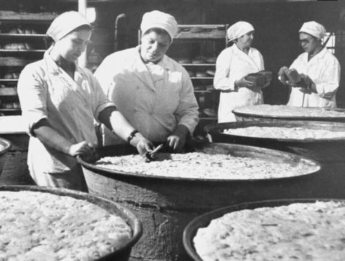 Почему Плесневеет хлеб. Плесень. Плесневеет хлеб. Почему? 3 простых шага, как этого избежать. 03