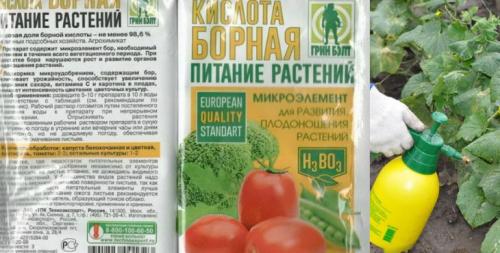 Борная кислота для огурцов и помидор. Борная кислота для томатов
