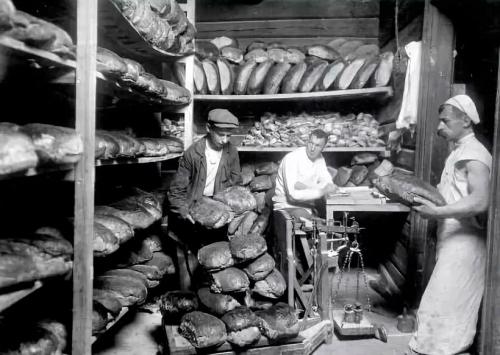 Почему Плесневеет хлеб. Плесень. Плесневеет хлеб. Почему? 3 простых шага, как этого избежать. 07