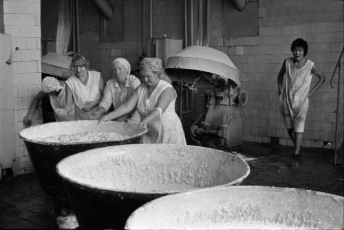 Почему Плесневеет хлеб. Плесень. Плесневеет хлеб. Почему? 3 простых шага, как этого избежать. 06