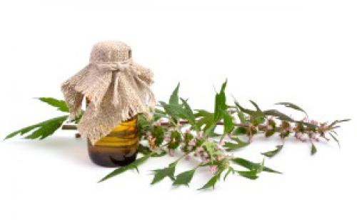 Как укрепить сердечную мышцу народными средствами. 6 домашних средств для здоровья сердца