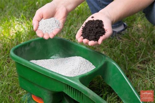 Суперфосфат это мочевина или нет. Живительная сила в каждой грануле 04