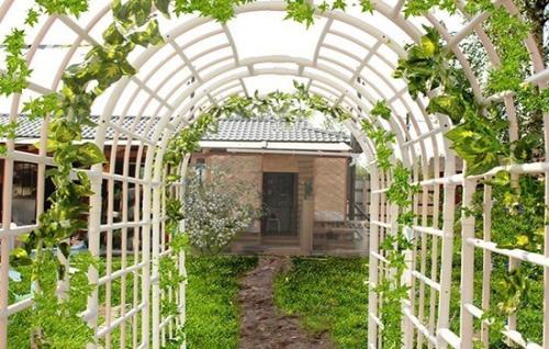 Легкие и бюджетные способы изготовления изгороди для винограда 06 Легкие и бюджетные способы изготовления изгороди для винограда 06