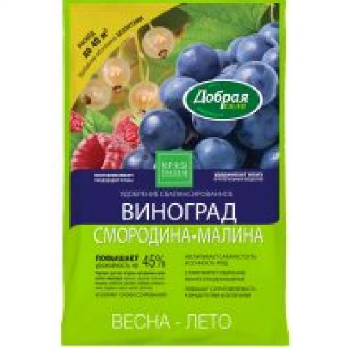 Как ухаживать за виноградом, чтобы он хорошо рос и украшал сад. Уход за виноградом