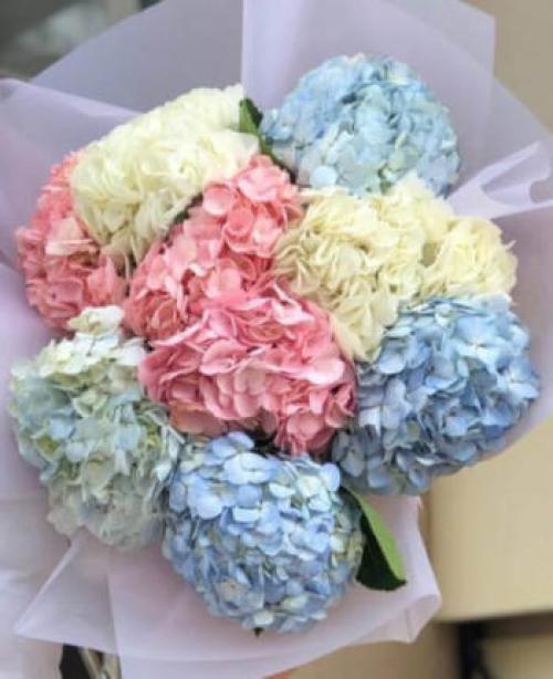 Гортензия: Легенда о цветке, который изменил мир Гортензия: Легенда о цветке, который изменил мир