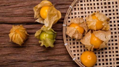 Когда и как собирать урожай физалиса. Сбор урожая физалиса: когда подходящее время 02 Когда и как собирать урожай физалиса. Сбор урожая физалиса: когда подходящее время 02