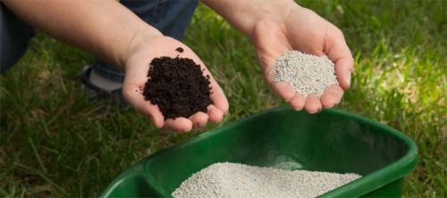 Какой навоз лучше для огурцов. Требования растения к питательным веществам