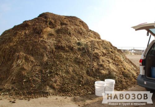 Конский навоз с опилками. Состав конского навоза