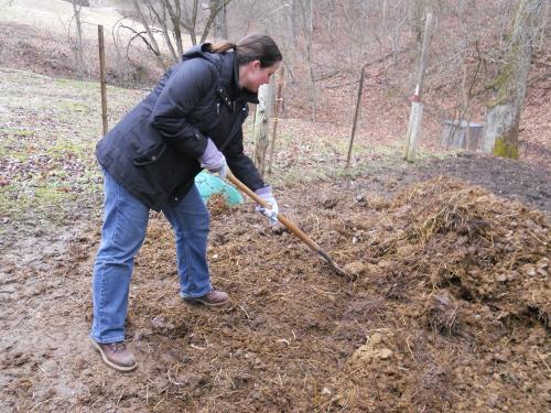 Когда вносить навоз в почву. Как вносить навоз: основные требования при удобрении почвы органикой 04