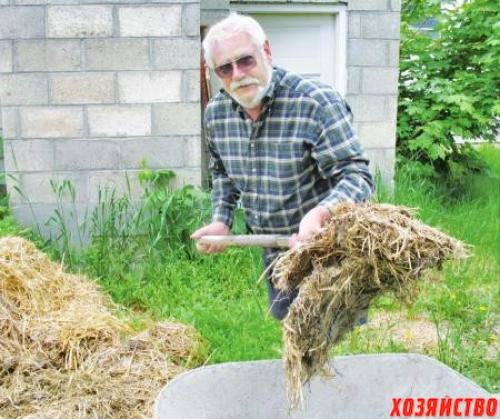 Как определить перепревший навоз. Перепрел ли навоз