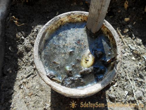 Подкормка чеснока конским навозом. Органика и минеральные удобрения для весенней подкормки чеснока