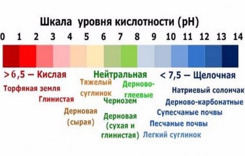 Виды навоза и его польза для разных растений. Коровий помет 04 Виды навоза и его польза для разных растений. Коровий помет 04