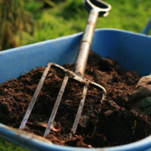 Когда вносить навоз в теплицу. Удобрение земли в теплице