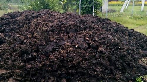 Как хранить перегной. Возраст навоза и полезные компоненты