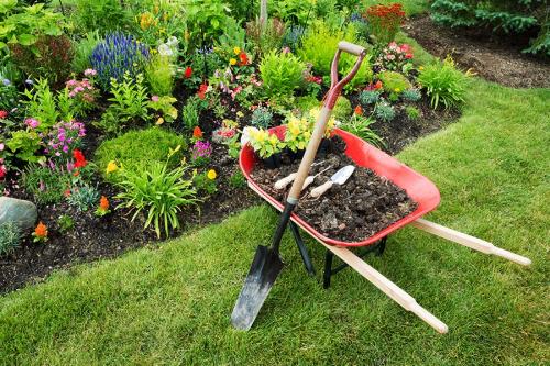 Сроки посадки лука севка в 2019 году. Когда сажать лук-севок весной 07 Сроки посадки лука севка в 2019 году. Когда сажать лук-севок весной 07