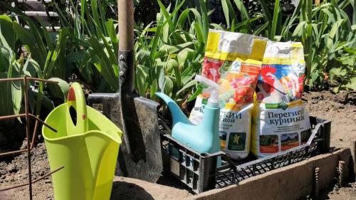 Как правильно вносить конский навоз осенью. Как использовать конский навоз, как удобрение в огороде: весной, летом, осенью