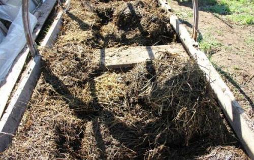 Как правильно вносить навоз осенью. Что вносить под осеннюю перекопку