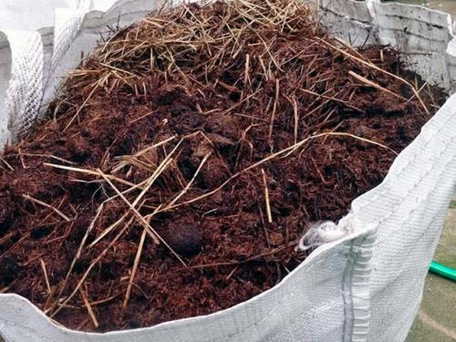 Под какие культуры можно вносить свежий навоз. Конский навоз