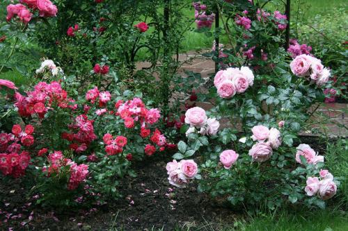 Стильные сады в подмосковье. Обворожительный сад в Подмосковье! Есть к чему стремиться