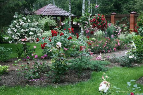 Стильные сады в подмосковье. Обворожительный сад в Подмосковье! Есть к чему стремиться