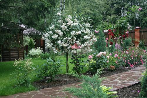 Стильные сады в подмосковье. Обворожительный сад в Подмосковье! Есть к чему стремиться
