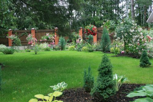 Стильные сады в подмосковье. Обворожительный сад в Подмосковье! Есть к чему стремиться