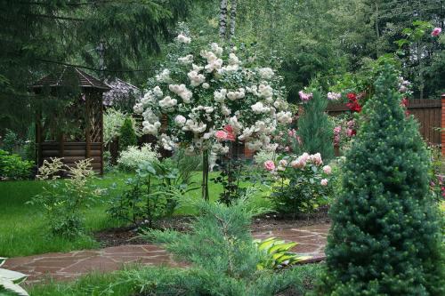 Стильные сады в подмосковье. Обворожительный сад в Подмосковье! Есть к чему стремиться