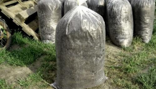 Самое ценное органическое удобрение. Помет: эффективность и особенности применения органического удобрения