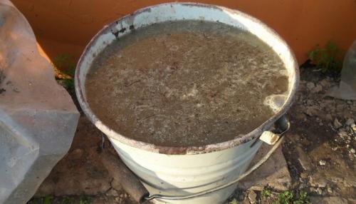 Самое ценное органическое удобрение. Помет: эффективность и особенности применения органического удобрения