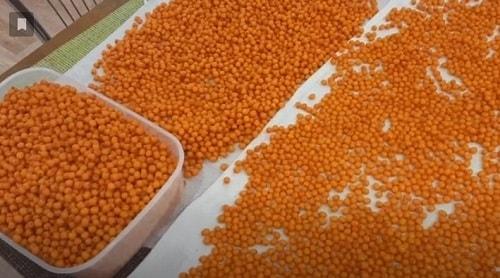Полезный сок из облепихи на зиму. Облепиховый сок на зиму — лучшие рецепты заготовки через соковыжималку, с сахаром, без варки