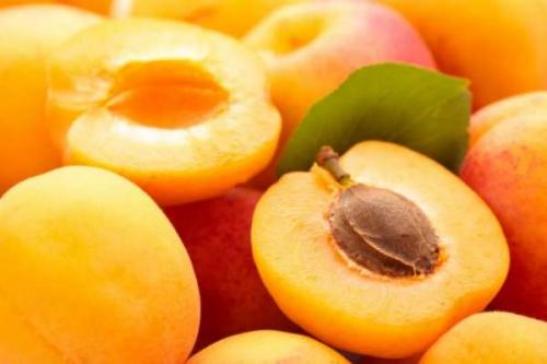 Родина абрикоса. Что такое абрикос?