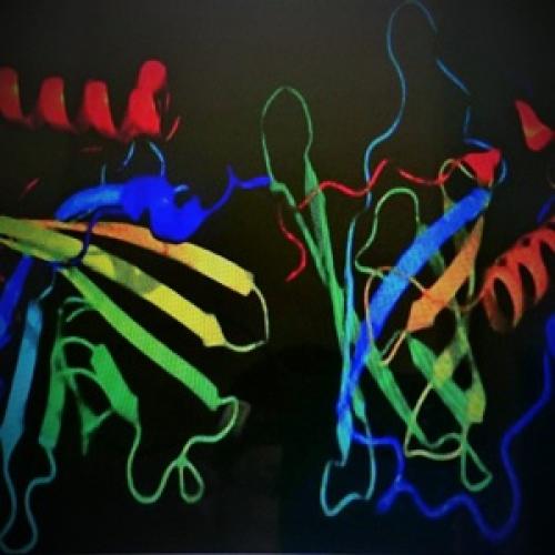 Питание для профилактики и лечения панкреатита. Зачем соблюдать диету 03