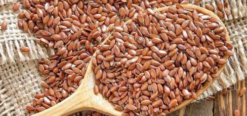 Простые способы выращивания чиа. Как вырастить семена чиа в подходящей зоне выращивания 02